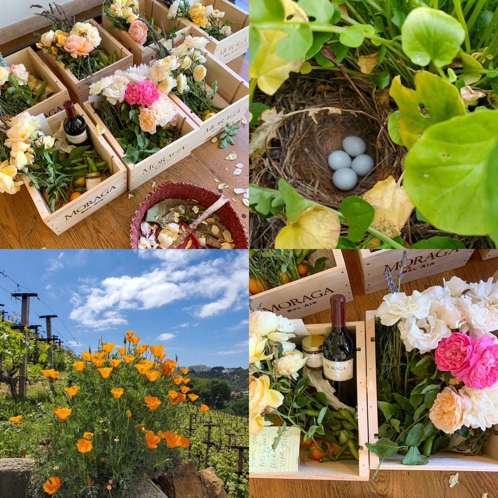 Putting together Moraga wine quarantine boxes for our neighbors 🌸 💕