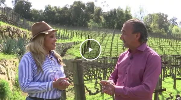 NBC: This sprawling winery estate is LA's best kept secret